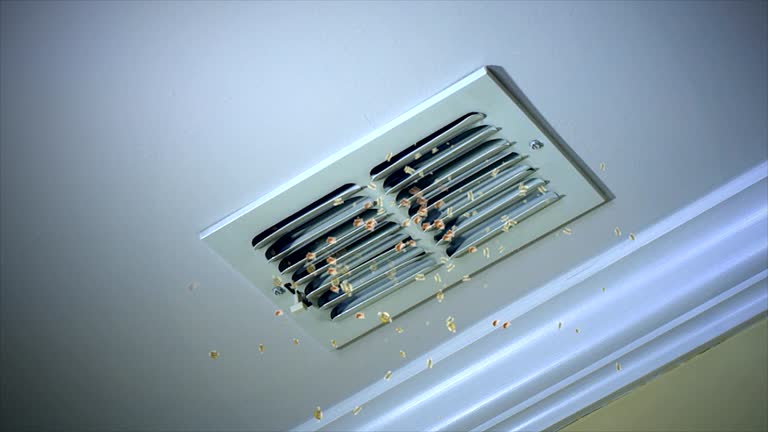 Best Best Air Duct Cleaning Company  in Newfield, NJ