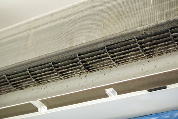 Best Ventilation Cleaning Services  in Newfield, NJ